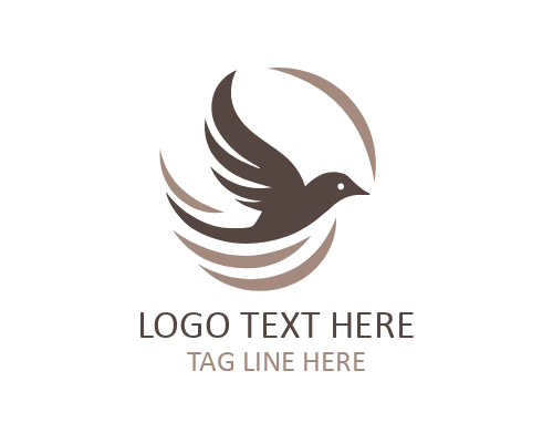 Light Wing Flying Bird Logo
