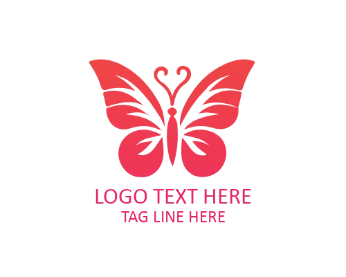Luxury Outline Butterfly Logo