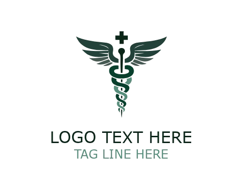 Medical Caduceus Wellness Logo