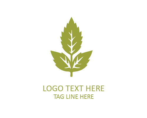 Minimal Fall Plant Logo for Modern Botanical Brands