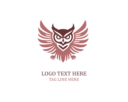 Minimal Focus Owl Logo