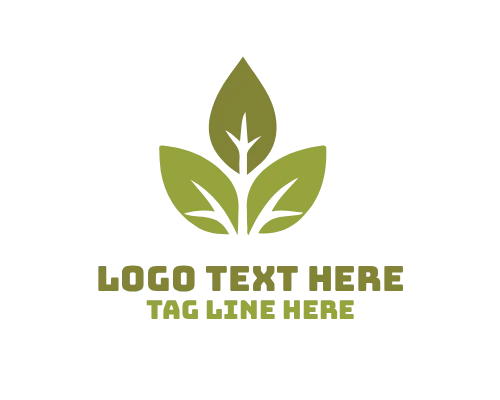 Minimal Leaf Line Art Logo