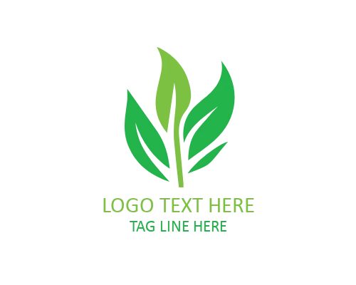 Minimal Leaf with Drop Logo for Eco and Organic Brands