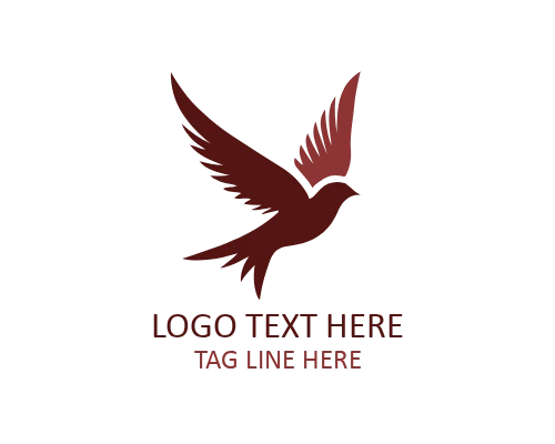 Minimal Outline Flying Bird Logo