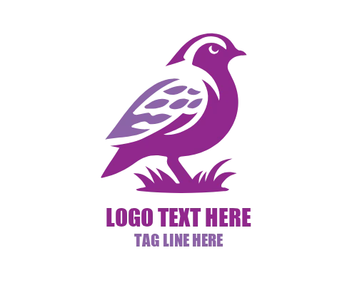 Minimal Outline Quail Logo