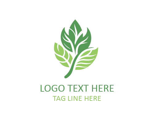 Minimalist Leaf Fitness Logo