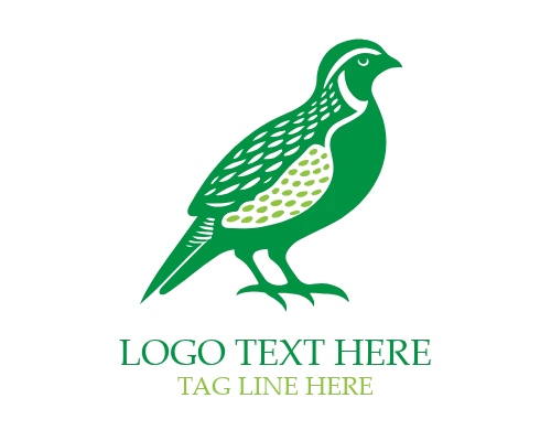 Modern Abstract Quail Logo