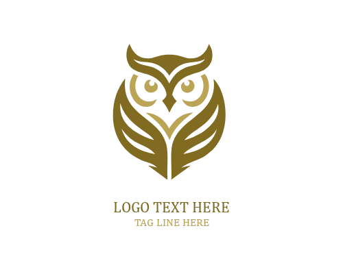 Modern Education Owl Logo