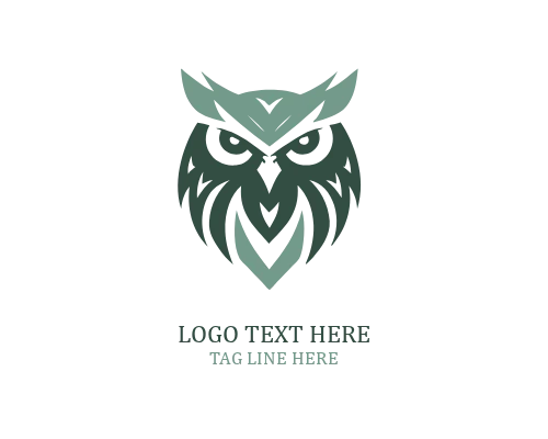 Modern Flat Owl Logo