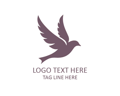  Modern Gradient Flying Bird Logo