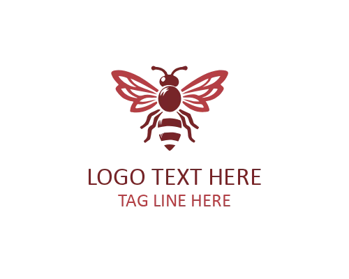 Modern Honey Bee Brand Icon