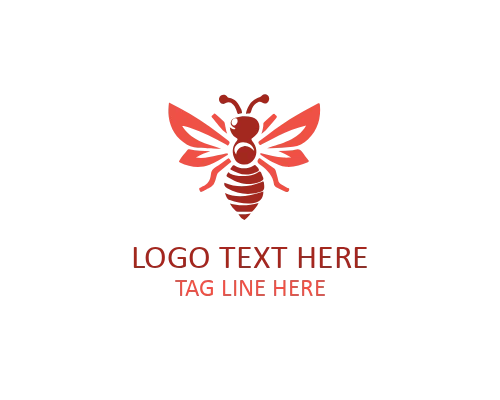 Modern Honey Bee Icon