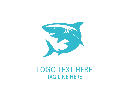 Modern Line Art Shark Logo