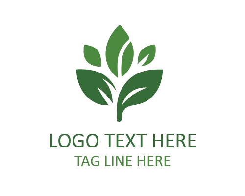 Modern Natural Leaf Logo