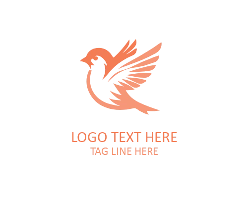 Modern Sparrow Brand Logo