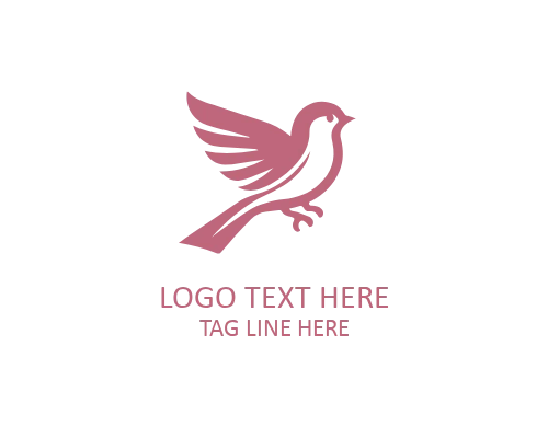 Modern Sparrow Icon Logo