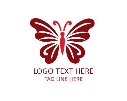 Modern Symbol Butterfly Logo