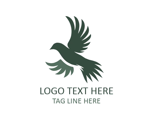 Modern Winged Flying Bird Logo