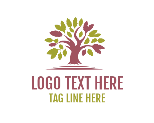 Oak Tree Nature Emblem Logo