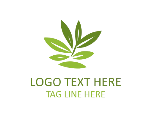 Olive Tree Logo Design