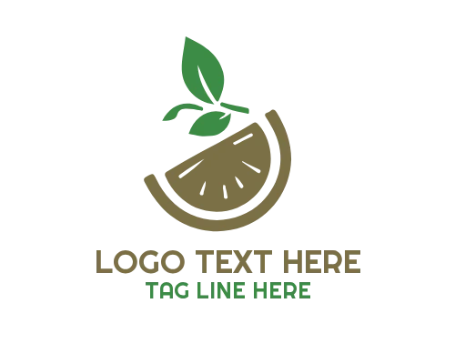 Orange Fruit Logo for Farm Fresh Branding