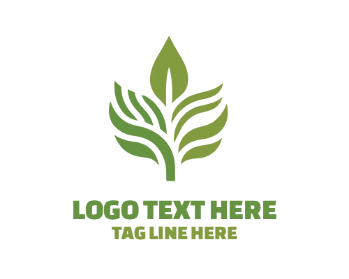 Organic Botany Leaf Logo