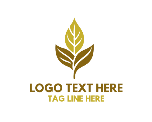 Organic Leaf Logo