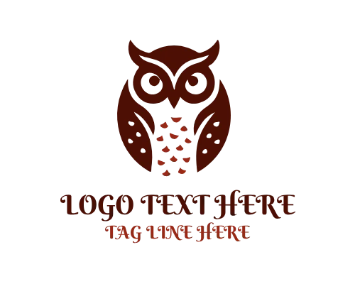 Owl and Book Education Logo