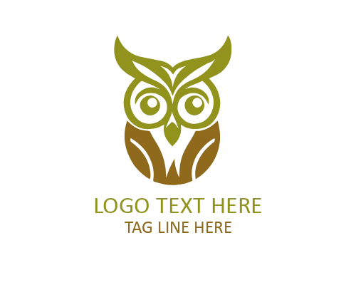 Owl Eyes Logo for Vision and Security Branding
