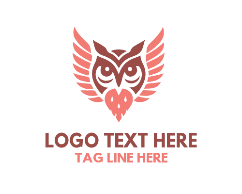 Owl Vision Eye Logo