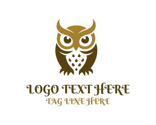 Owl Wisdom Logo