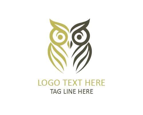Owl with Book Logo for Schools and Libraries