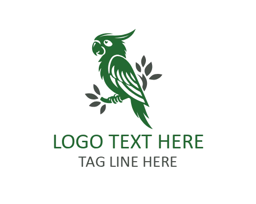 Parrot Forest Hues Logo