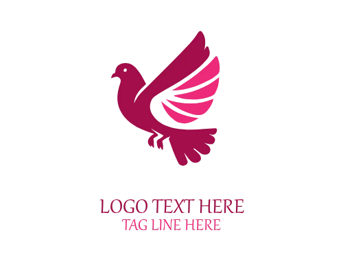 Pigeon Head Icon Logo for Mascots and Digital Brands