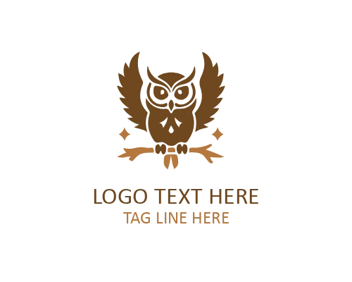 Playful Owl Character Logo