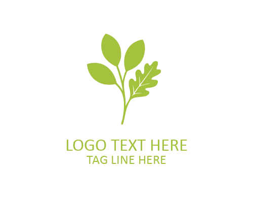 Premium Abstract Leaf Logo