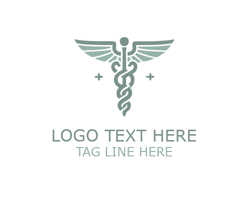 Prime Care Caduceus Logo