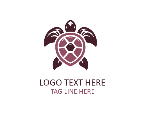Sea Turtle Logo Design