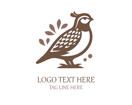 Signature Quail Brand Identity Logo