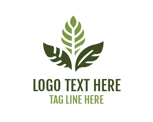 Simple Nature Leaf Icon