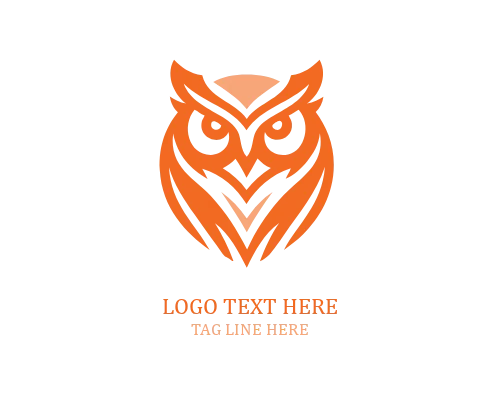 Smart Tech Owl Logo
