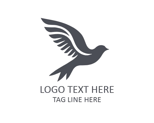 Soaring Bird Adventure Logo