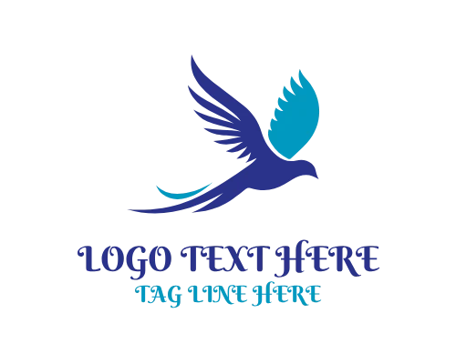 Soaring Bird Sky Logo