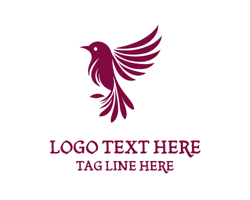 Soft Curve Bird Logo