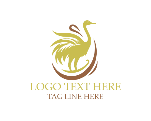 Soft Line Ostrich Logo