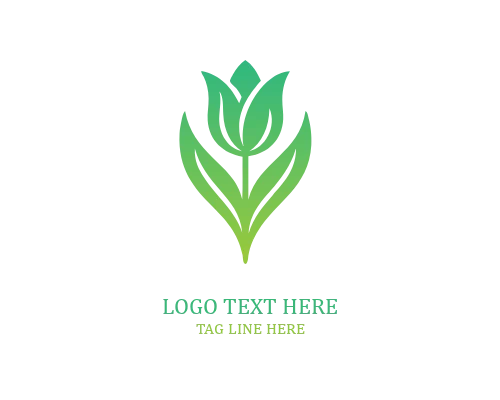 Soft Petal Tulip Logo
