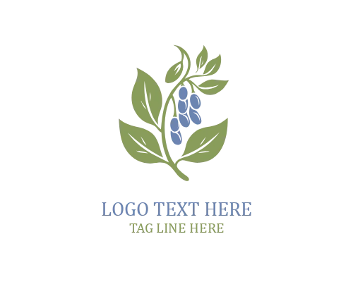 Soybeans Laurel Logo