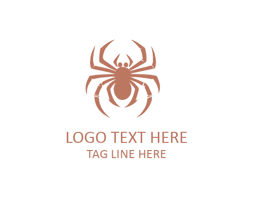 Spider Web Logo