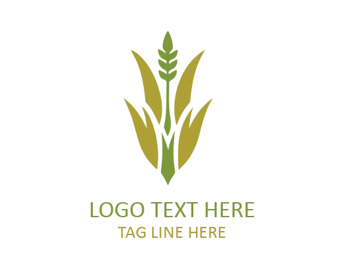 Spinach Vegetable Logo