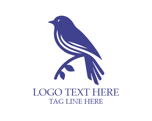 Sport Club Bird Logo